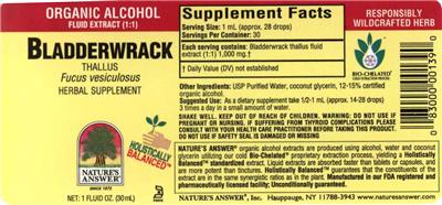 Bladderwrack Thallus