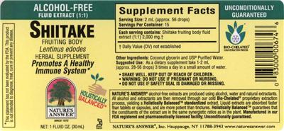 Shiitake Fruiting Body