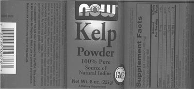 Photo of the NOW Kelp Powder label