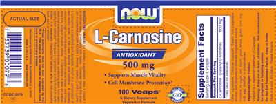 L-Carnosine 500 mg