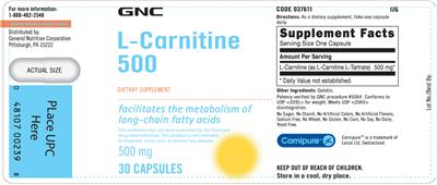 L-Carnitine 500 mg