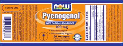 Pycnogenol 100 mg