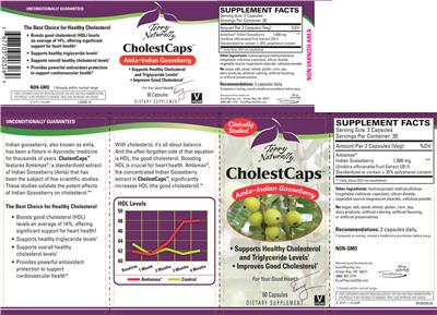 Photo of the Terry Naturally CholestCaps label