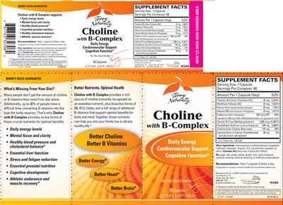 Photo of the Terry Naturally Choline With B-Complex label