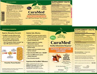 Photo of the Terry Naturally CuraMed 375 mg label