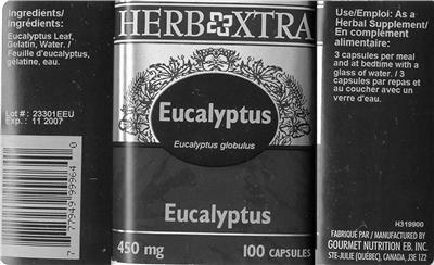 Eucalyptus