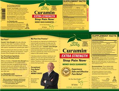 Photo of the Terry Naturally Curamin Extra Strength label