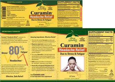Photo of the Terry Naturally Curamin Headache Relief label