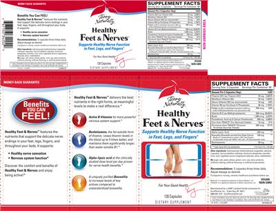 Photo of the Terry Naturally Healthy Feet & Nerves label