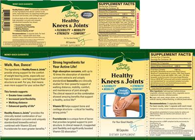 Photo of the Terry Naturally Healthy Knees & Joints label