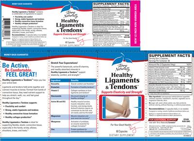 Photo of the Terry Naturally Healthy Ligaments & Tendons label