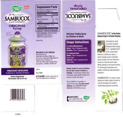 Photo of the Nature's Way Dr Mumcuoglu Sambucol Original Syrup label