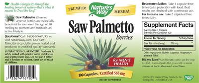 Saw Palmetto Berries