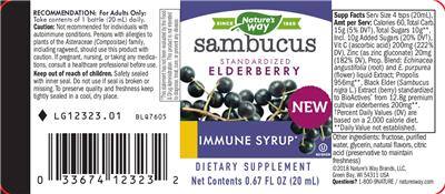 Sambucus