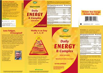 Daily Energy B Complex のラベル画像（NIH DSLD）