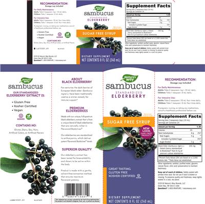 Sambucus Sugar Free Syrup