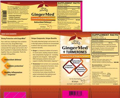 Photo of the Terry Naturally GingerMed + Turmerones label