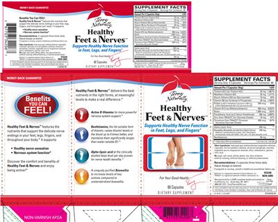Photo of the Terry Naturally Healthy Feet & Nerves label