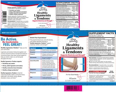 Photo of the Terry Naturally Healthy Ligaments & Tendons label