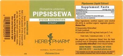 Pipsissewa