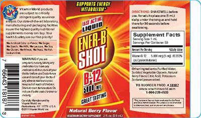 Photo of the Vitamin World Ener-B Shot B-12 5000 mcg Natural Berry Flavor label