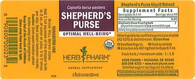 Shepherd's Purse