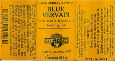 Blue Vervain