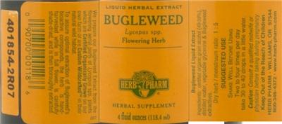 Bugleweed