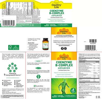 Photo of the Country Life Coenzyme B-Complex Advanced label