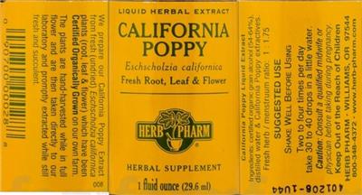 California Poppy