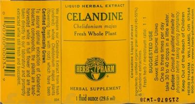 Celandine