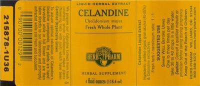Celandine