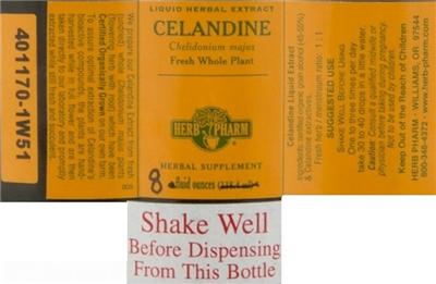 Celandine
