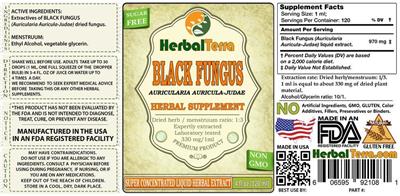 Black Fungus