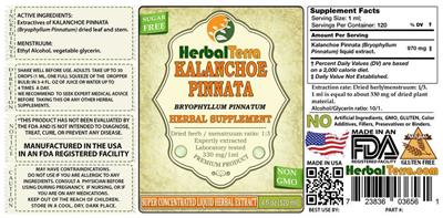 Photo of the Herbal Terra Kalanchoe Pinnata label