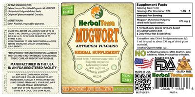Mugwort