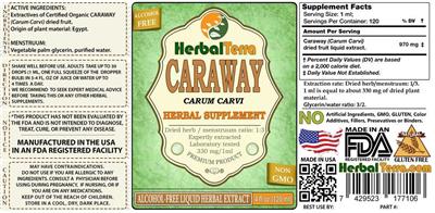 Photo of the Herbal Terra Caraway Alcohol Free label