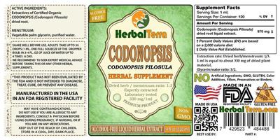 Photo of the Herbal Terra Codonopsis Alcohol Free label