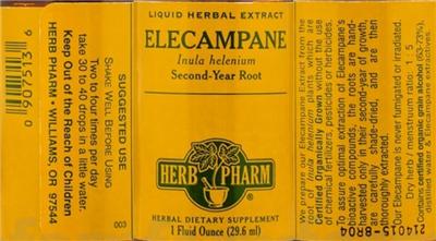 Elecampane