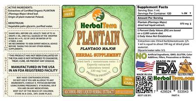 Plantain Alcohol Free