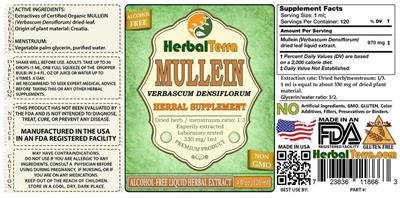 Photo of the Herbal Terra Mullein Verbascum densiflorum Alcohol Free label