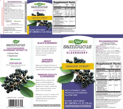 Photo of the Nature's Way Sambucus Immune Syrup label
