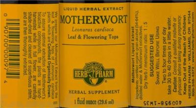 Motherwort