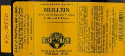 Mullein