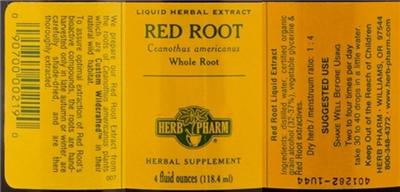 Red Root