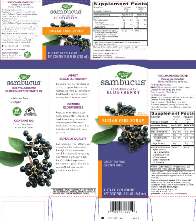 Sambucus Sugar Free Syrup