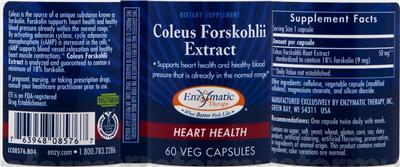 Photo of the Enzymatic Therapy Coleus Forskohlii Extract label