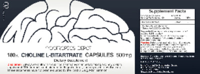 Photo of the Nootropics Depot Choline L-Bitartrate Capsules 500 mg label