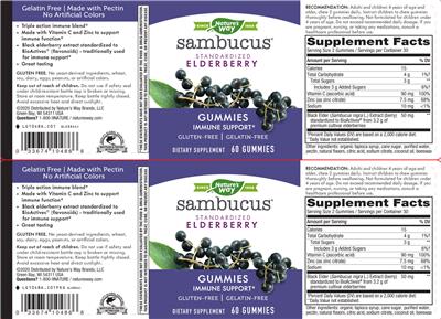 Sambucus Gummies