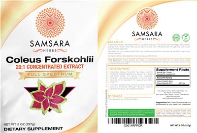 Photo of the Samsara Herbs Coleus Forskohlii 20:1 Concentrated Extract label